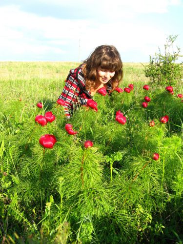 http://www.fototurne.org/albums/userpics/10002/normal_IAGT_238.jpg