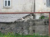 Имя файла=10_IMG_8689.JPG
Размер файла=138КБ
Размеры=1024x768
Дата=Май 15, 2014 10_IMG_8689.JPG