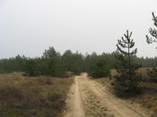 Имя файла=25.jpg
Размер файла=100КБ
Размеры=1024x768
Дата=Авг 31, 2010 25.jpg