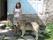 Имя файла=26_IMG_7333.JPG
Размер файла=181КБ
Размеры=1024x768
Дата=Март 13, 2014 26_IMG_7333.JPG
