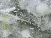Filename=IAGTP_029~0.jpg
Filesize=627KiB
Dimensions=1024x768
Date added=Feb 16, 2012 IAGTP_029~0.jpg