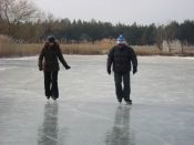 Filename=IAGTP_031~1.jpg
Filesize=525KiB
Dimensions=1024x768
Date added=Feb 16, 2012 IAGTP_031~1.jpg