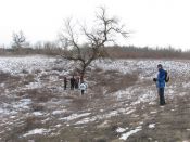Filename=IAGTP_077~0.jpg
Filesize=612KiB
Dimensions=1024x768
Date added=Feb 16, 2012 IAGTP_077~0.jpg
