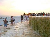 Filename=IMG_3128.JPG
Filesize=125KiB
Dimensions=1024x768
Date added=Sep 19, 2011 IMG_3128.JPG
