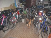 Filename=IMG_6320.JPG
Filesize=658KiB
Dimensions=1024x768
Date added=Oct 13, 2014 IMG_6320.JPG