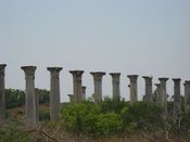 Filename=b11.JPG
Filesize=90KiB
Dimensions=1024x768
Date added=Jul 16, 2010 b11.JPG