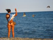 Filename=imgj_022.jpg
Filesize=144KiB
Dimensions=1024x768
Date added=Sep 02, 2012 imgj_022.jpg