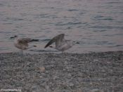 Filename=imgj_043.jpg
Filesize=132KiB
Dimensions=1024x768
Date added=Sep 02, 2012 imgj_043.jpg