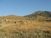 Filename=imgj_091.jpg
Filesize=174KiB
Dimensions=1024x768
Date added=Sep 02, 2012 imgj_091.jpg