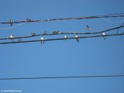 Filename=imgj_110.jpg
Filesize=61KiB
Dimensions=1024x768
Date added=Sep 02, 2012 imgj_110.jpg