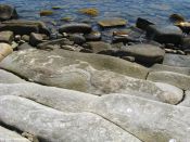 Filename=imgj_158.jpg
Filesize=219KiB
Dimensions=1024x768
Date added=Sep 02, 2012 imgj_158.jpg