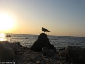 Filename=imgj_200.jpg
Filesize=85KiB
Dimensions=1024x768
Date added=Sep 02, 2012 imgj_200.jpg