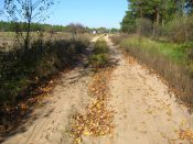 Filename=imgmh_232.jpg
Filesize=768KiB
Dimensions=1024x768
Date added=Oct 22, 2012 imgmh_232.jpg