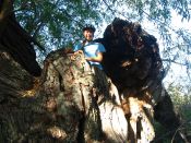 Filename=imgmh_240.jpg
Filesize=810KiB
Dimensions=1024x768
Date added=Oct 22, 2012 imgmh_240.jpg