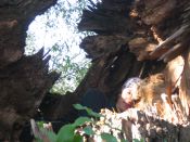 Filename=imgmh_252.jpg
Filesize=611KiB
Dimensions=1024x768
Date added=Oct 22, 2012 imgmh_252.jpg