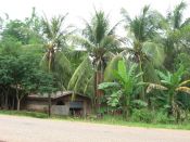 Имя файла=12_IMG_8896.JPG
Размер файла=700КБ
Размеры=1024x768
Дата=Нояб 02, 2012 12_IMG_8896.JPG