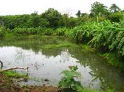 Имя файла=3_IMG_9754.JPG
Размер файла=695КБ
Размеры=1024x768
Дата=Нояб 02, 2012 3_IMG_9754.JPG