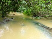 Имя файла=4_IMG_9758.JPG
Размер файла=766КБ
Размеры=1024x768
Дата=Нояб 02, 2012 4_IMG_9758.JPG