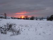 Имя файла=76_IMG_8076.JPG
Размер файла=100КБ
Размеры=1024x768
Дата=Янв 14, 2011 76_IMG_8076.JPG