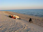 Имя файла=Izobrazhenie_174.jpg
Размер файла=170КБ
Размеры=1024x768
Дата=Сент 07, 2010 Izobrazhenie_174.jpg